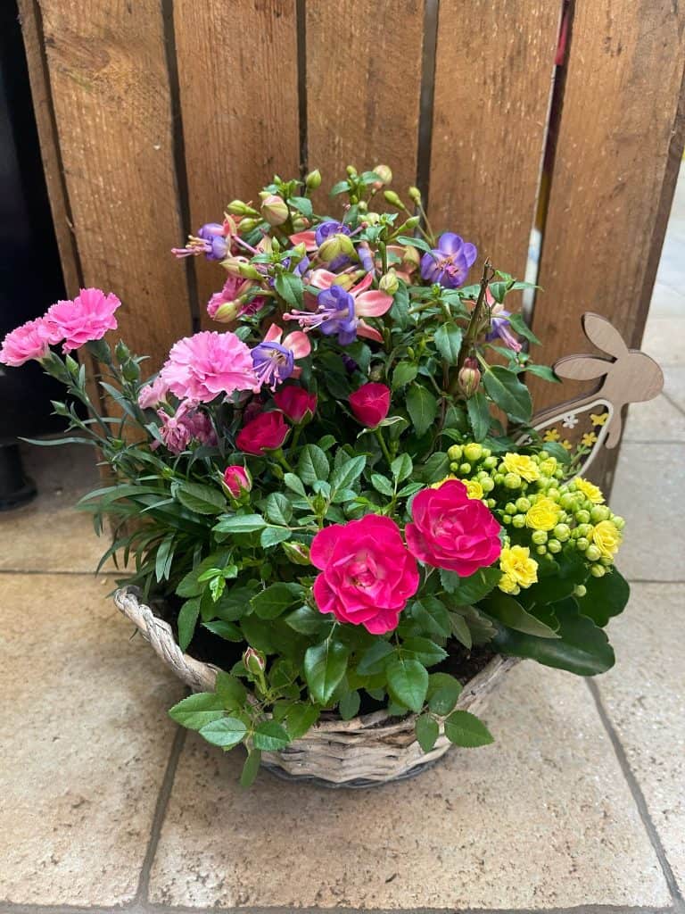 paques composition 5