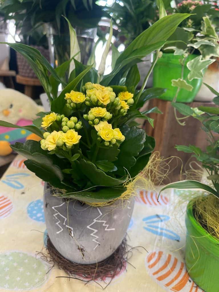 paques composition 6